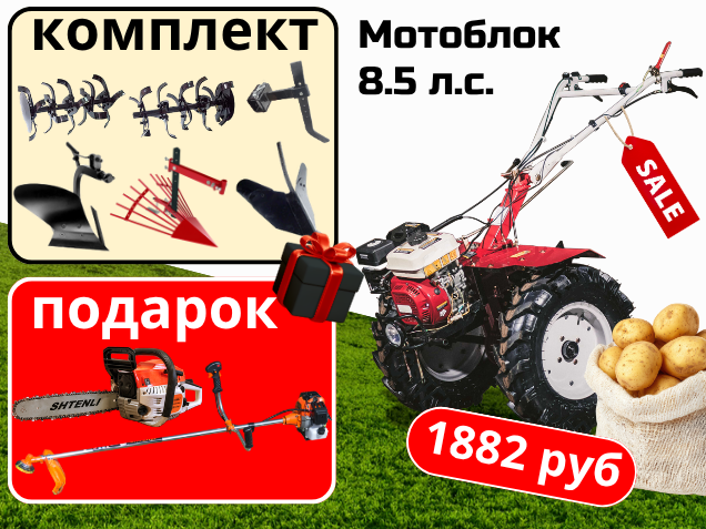 Специальное предложение