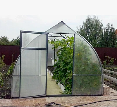 теплица капелька