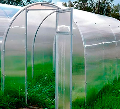 теплица макс