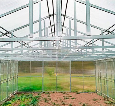 теплица промышленная