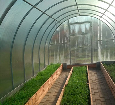 теплица титан мини