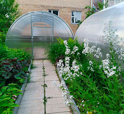 теплица титан